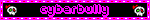 cyber-bully